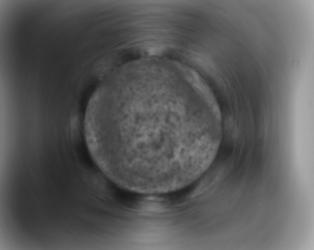 X0000089860222200707191926