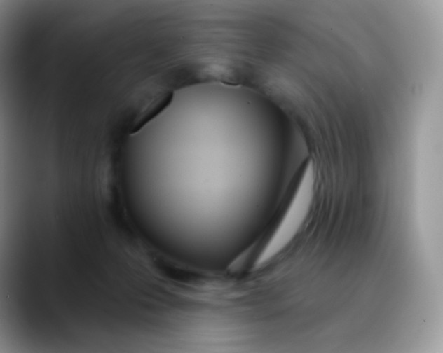 X0000089860223200707191926