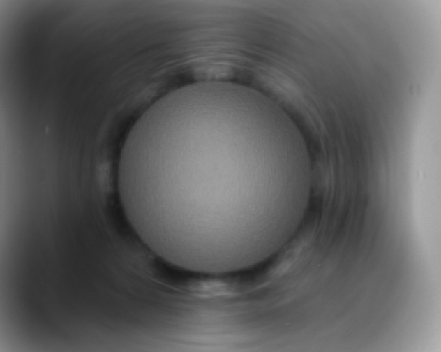 X0000089860224200707191926