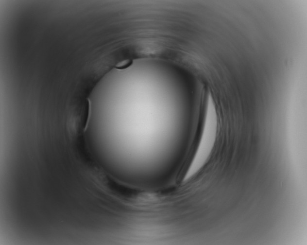 X0000089860227200707191926