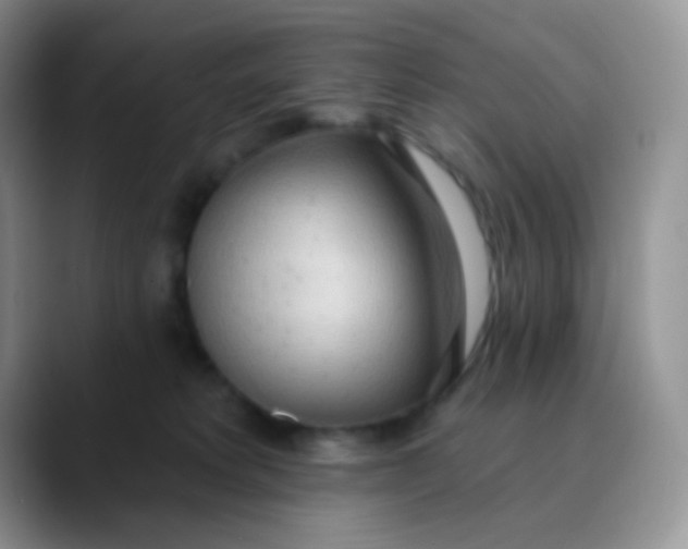 X0000089860229200707191926