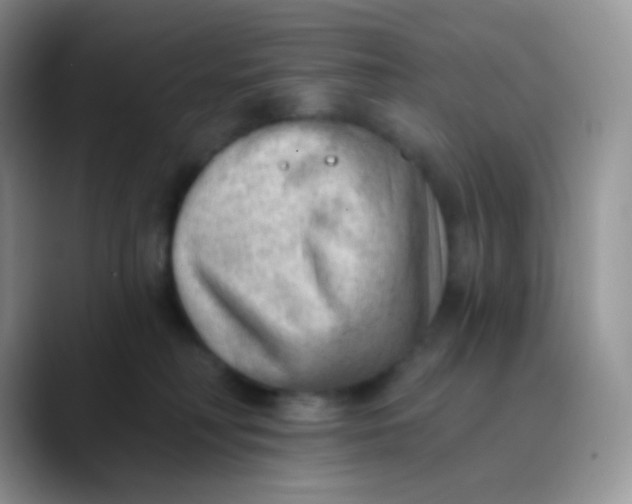 X0000089860230200707191926