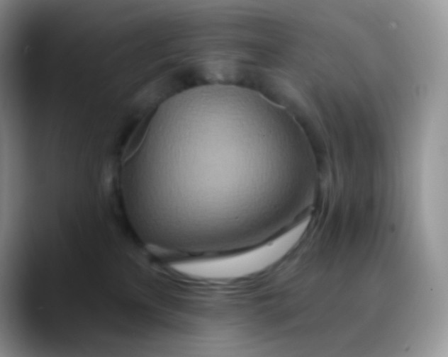 X0000089860233200707191926