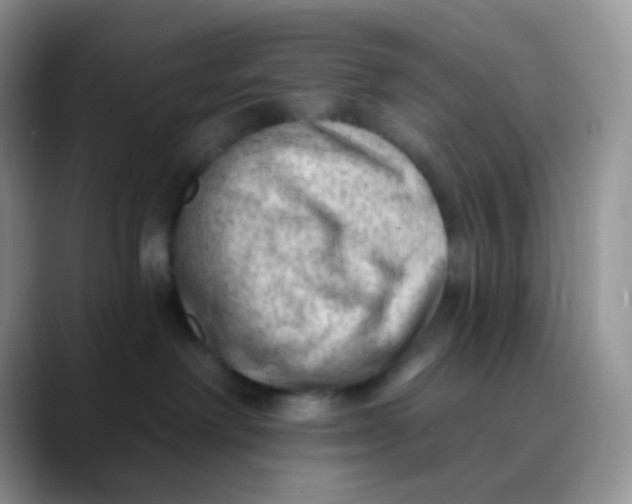 X0000089860238200707191926