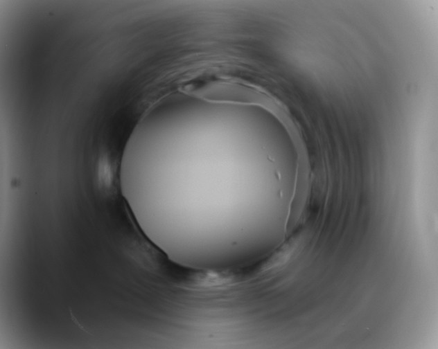 X0000089860239200707191926