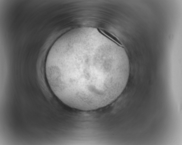 X0000089860241200707191925