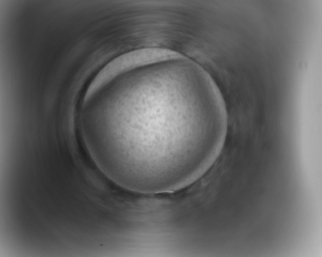 X0000089860242200707191925