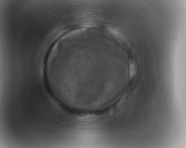 X0000089860243200707191925