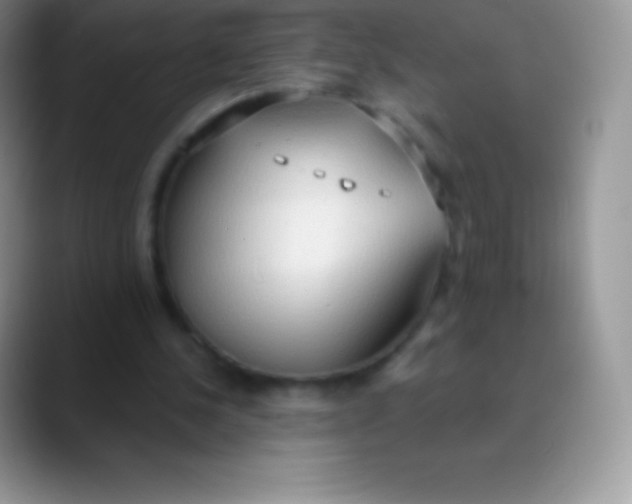 X0000089860244200707191925