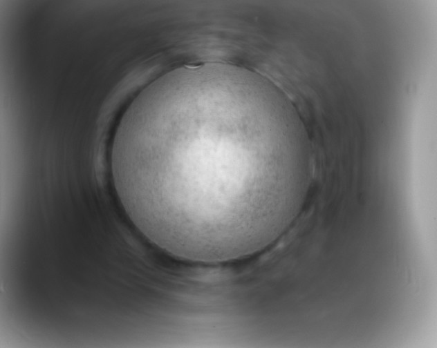 X0000089860245200707191925