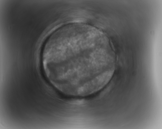 X0000089860247200707191925