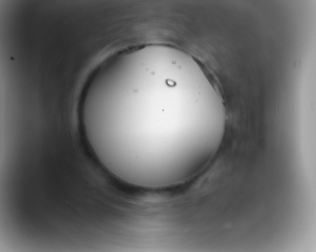 X0000089860248200707191925