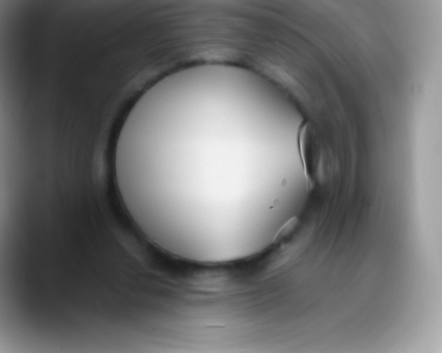 X0000089860252200707191925