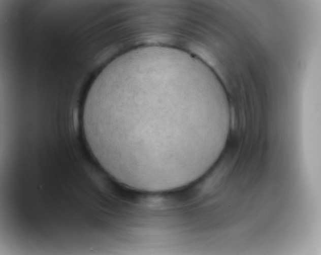 X0000089860253200707191925