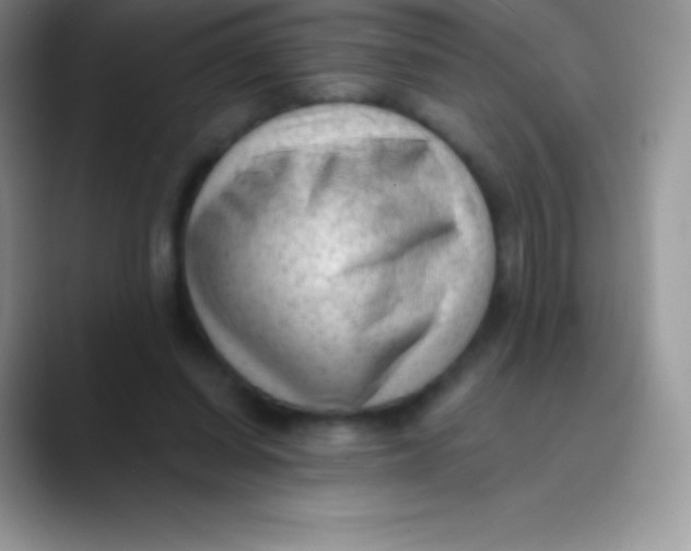 X0000089860254200707191925