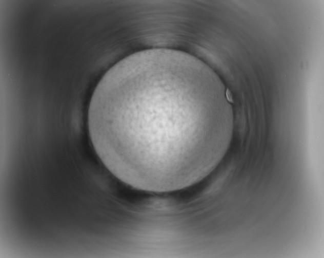 X0000089860255200707191925