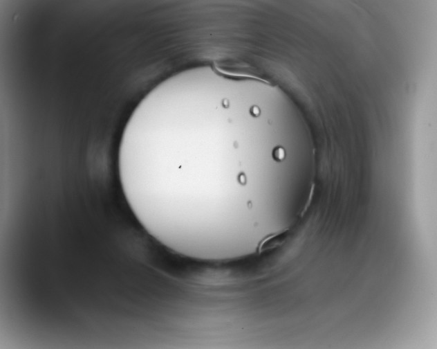 X0000089860256200707191925