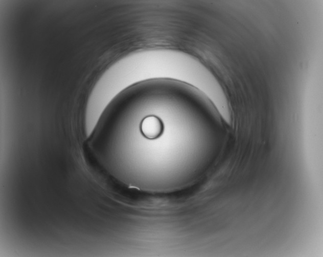 X0000089860260200707191925