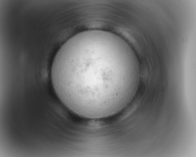 X0000089860261200707191925