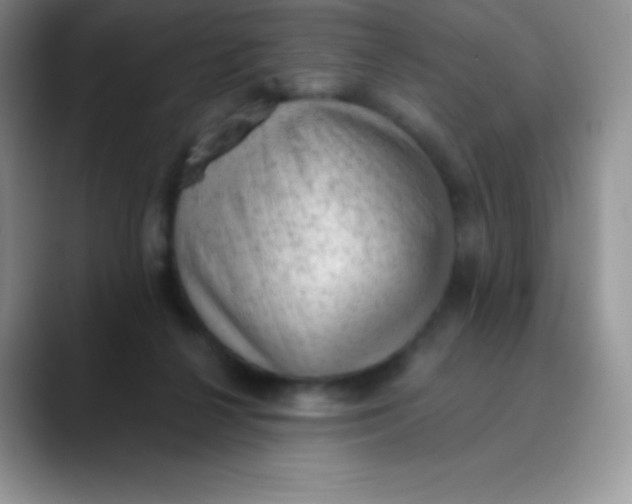 X0000089860264200707191926