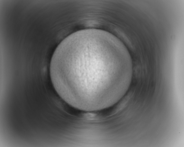 X0000089860265200707191926