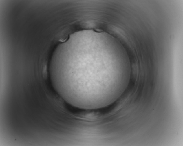 X0000089860267200707191926