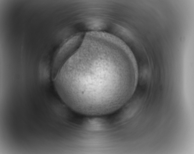 X0000089860268200707191926