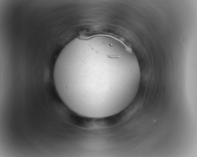 X0000089860270200707191926