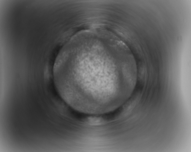 X0000089860272200707191926