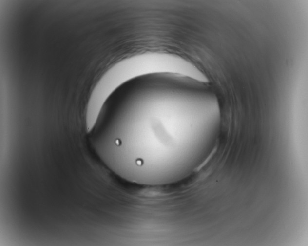 X0000089860280200707191926