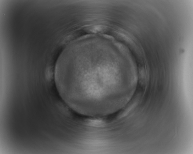 X0000089860284200707191926