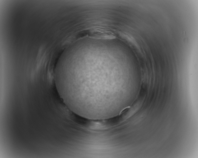 X0000089860285200707191926