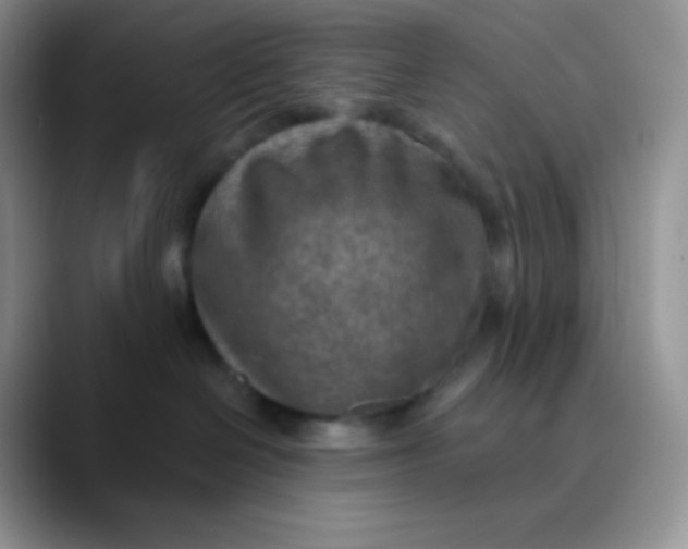 X0000089860286200707191926