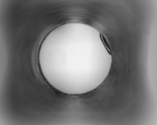 X0000089860289200707191925