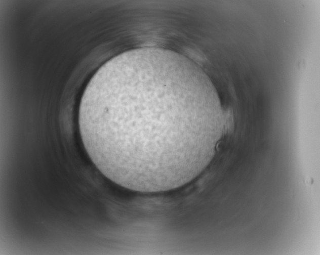 X0000089860291200707191925