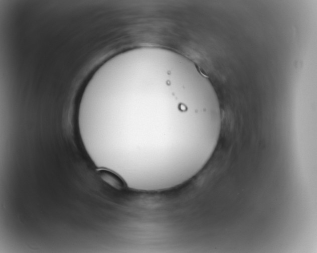 X0000089860292200707191925