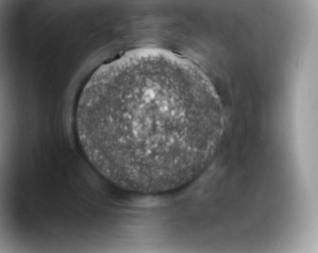 X0000089860293200707191925