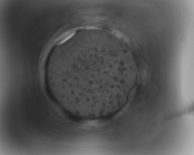 X0000089860295200707191925