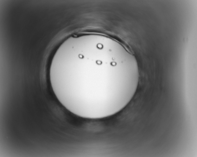 X0000089860296200707191925