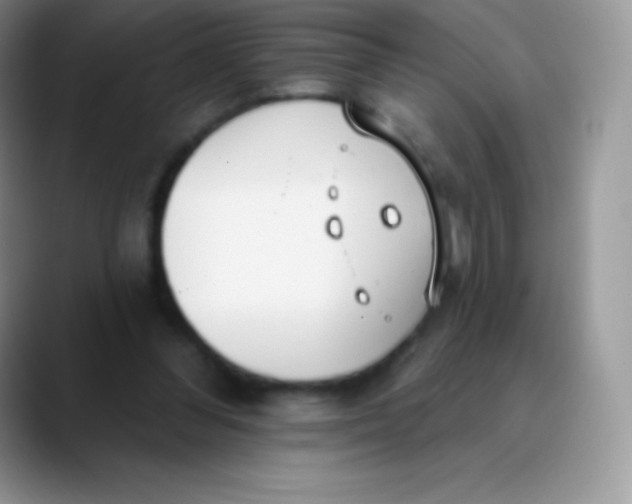 X0000089860300200707191925