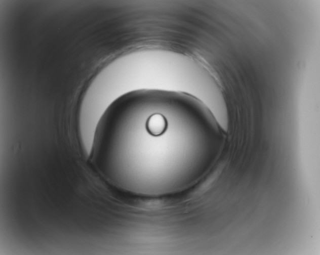 X0000089860301200707191925