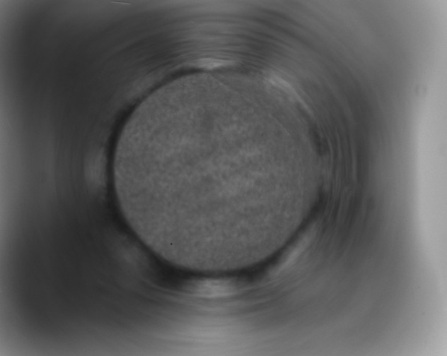 X0000089860303200707191925