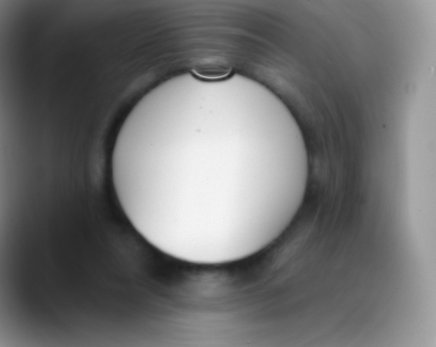 X0000089860304200707191925