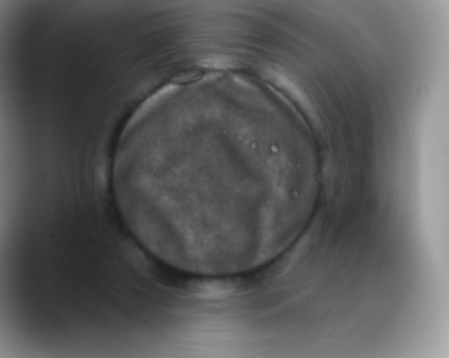 X0000089860305200707191925