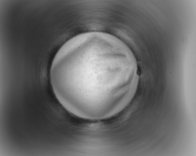 X0000089860306200707191925