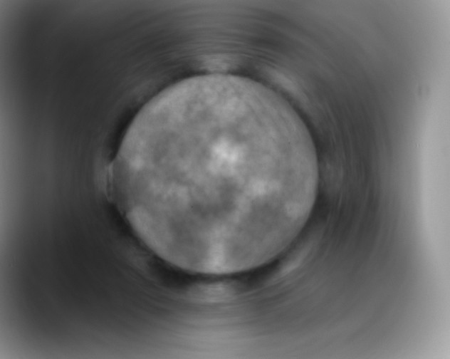 X0000089860307200707191925