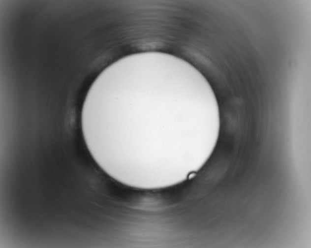 X0000089860308200707191925