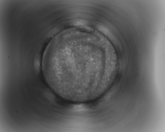 X0000089860309200707191925