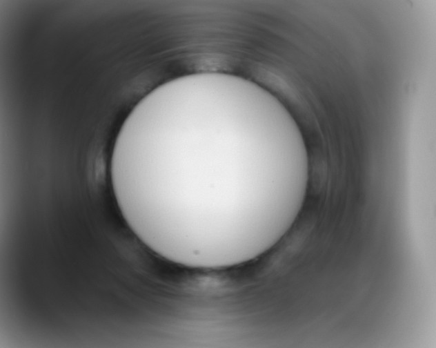 X0000089860310200707191925