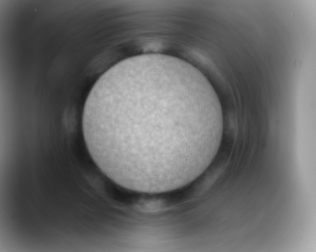 X0000089860311200707191925